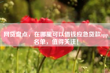 网贷盘点，在哪里可以借钱应急贷款app名单，值得关注！