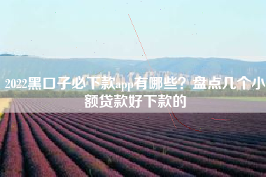 2022黑口子必下款app有哪些？盘点几个小额贷款好下款的