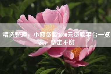 精选整理，小额贷款3000元贷款平台一览表，拿走不谢