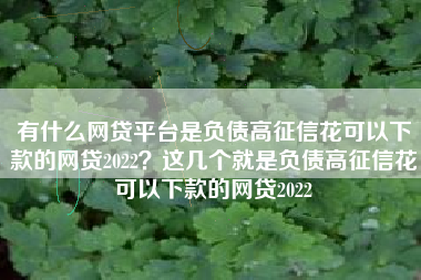 有什么网贷平台是负债高征信花可以下款的网贷2022？这几个就是负债高征信花可以下款的网贷2022