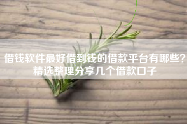 借钱软件最好借到钱的借款平台有哪些？精选整理分享几个借款口子