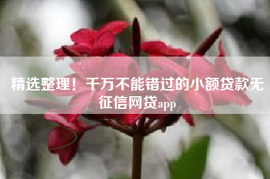 精选整理！千万不能错过的小额贷款无征信网贷app