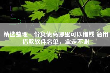 精选整理一份负债高哪里可以借钱 急用借款软件名单，拿走不谢