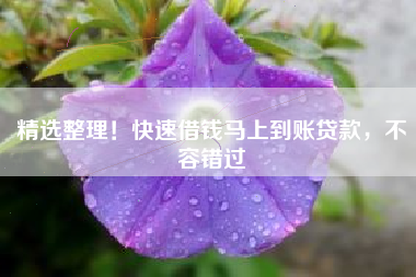 精选整理！快速借钱马上到账贷款，不容错过