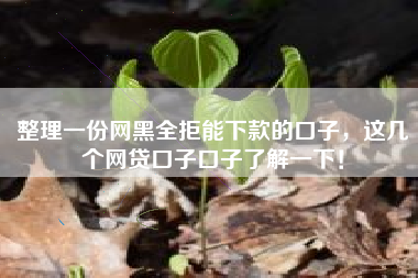 整理一份网黑全拒能下款的口子，这几个网贷口子口子了解一下！