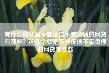 有什么贷款是不查征信不看负债的网贷有哪些？这几个就是不查征信不看负债的网贷有哪些