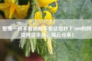 整理一份不看逾期不看征信秒下5000的网贷网贷平台，简云分享！