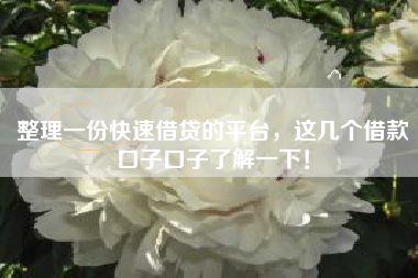 整理一份快速借贷的平台，这几个借款口子口子了解一下！