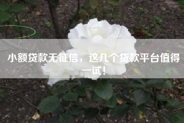 小额贷款无征信，这几个贷款平台值得一试！