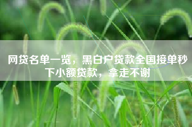 网贷名单一览，黑白户贷款全国接单秒下小额贷款，拿走不谢