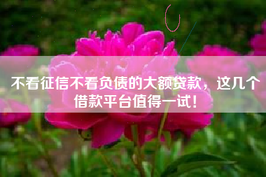 不看征信不看负债的大额贷款，这几个借款平台值得一试！