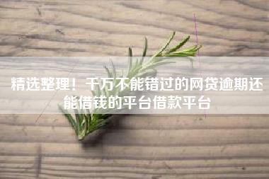 精选整理！千万不能错过的网贷逾期还能借钱的平台借款平台