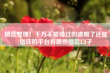 精选整理！千万不能错过的逾期了还能借钱的平台有哪些借款口子
