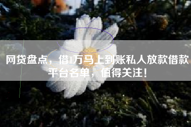网贷盘点，借1万马上到账私人放款借款平台名单，值得关注！