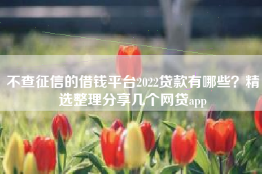 不查征信的借钱平台2022贷款有哪些？精选整理分享几个网贷app