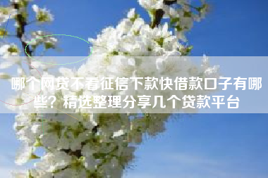 哪个网贷不看征信下款快借款口子有哪些？精选整理分享几个贷款平台