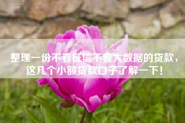 整理一份不看征信不看大数据的贷款，这几个小额贷款口子了解一下！