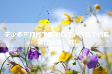 无论多黑都能下款的口子，这几个借款软件值得一试！
