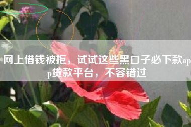 网上借钱被拒，试试这些黑口子必下款app贷款平台，不容错过
