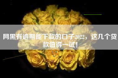 网黑有逾期能下款的口子2022，这几个贷款值得一试！