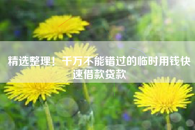 精选整理！千万不能错过的临时用钱快速借款贷款