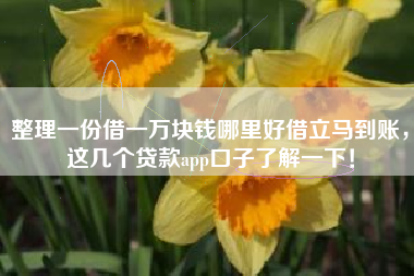 整理一份借一万块钱哪里好借立马到账，这几个贷款app口子了解一下！