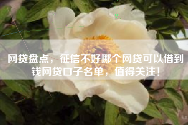 网贷盘点，征信不好哪个网贷可以借到钱网贷口子名单，值得关注！