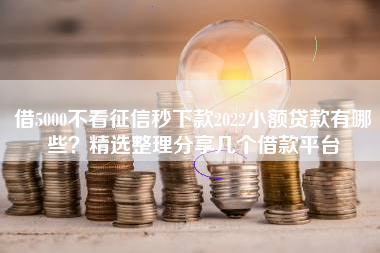 借5000不看征信秒下款2022小额贷款有哪些？精选整理分享几个借款平台