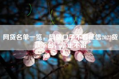 网贷名单一览，网贷口子不看征信2022贷款平台，拿走不谢