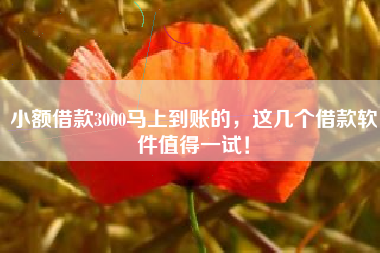 小额借款3000马上到账的，这几个借款软件值得一试！