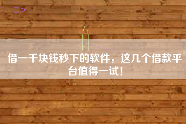 借一千块钱秒下的软件，这几个借款平台值得一试！
