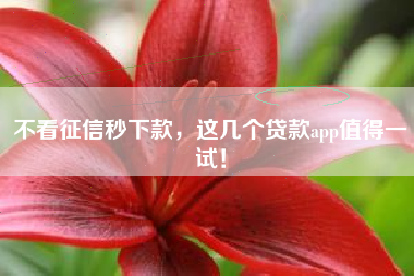 不看征信秒下款，这几个贷款app值得一试！