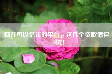 现在可以借钱的平台，这几个贷款值得一试！