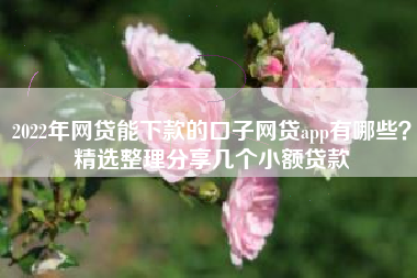 2022年网贷能下款的口子网贷app有哪些？精选整理分享几个小额贷款