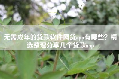 无需成年的贷款软件网贷app有哪些？精选整理分享几个贷款app