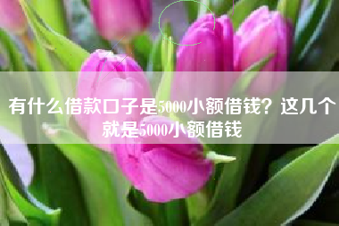 有什么借款口子是5000小额借钱？这几个就是5000小额借钱