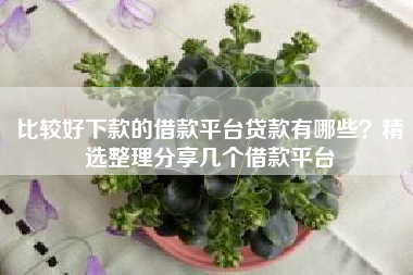 比较好下款的借款平台贷款有哪些？精选整理分享几个借款平台