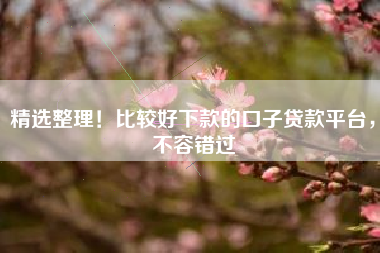精选整理！比较好下款的口子贷款平台，不容错过