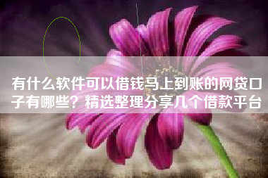 有什么软件可以借钱马上到账的网贷口子有哪些？精选整理分享几个借款平台
