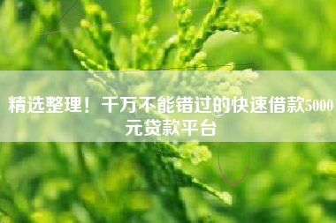 精选整理！千万不能错过的快速借款5000元贷款平台