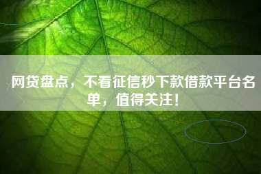 网贷盘点，不看征信秒下款借款平台名单，值得关注！