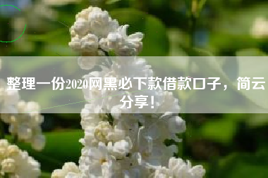 整理一份2020网黑必下款借款口子，简云分享！