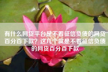 有什么网贷平台是不看征信负债的网贷百分百下款？这几个就是不看征信负债的网贷百分百下款