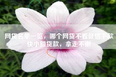 网贷名单一览，哪个网贷不看征信下款快小额贷款，拿走不谢