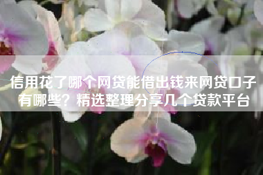 信用花了哪个网贷能借出钱来网贷口子有哪些？精选整理分享几个贷款平台