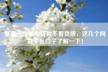 整理一份哪个贷款不看负债，这几个网贷平台口子了解一下！