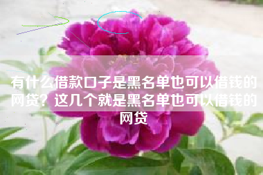 有什么借款口子是黑名单也可以借钱的网贷？这几个就是黑名单也可以借钱的网贷