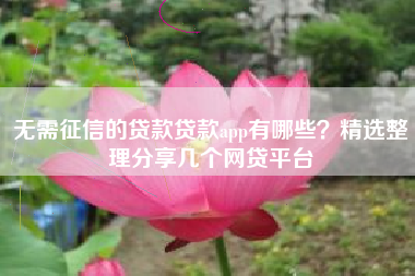 无需征信的贷款贷款app有哪些？精选整理分享几个网贷平台