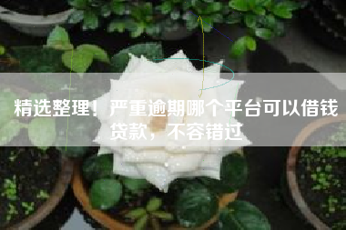精选整理！严重逾期哪个平台可以借钱贷款，不容错过