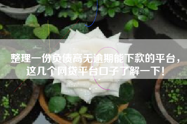 整理一份负债高无逾期能下款的平台，这几个网贷平台口子了解一下！